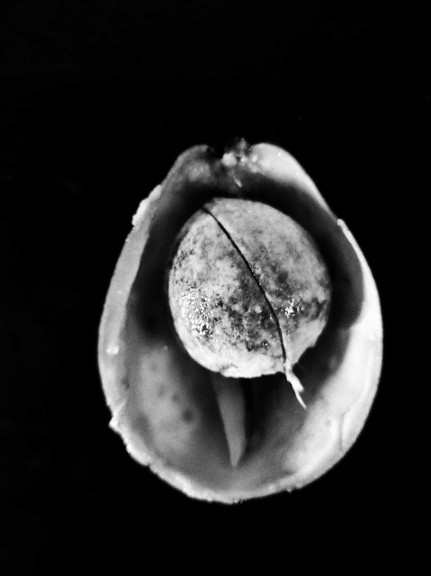 Mien, 2021 ©️Utami Dewi Godjali