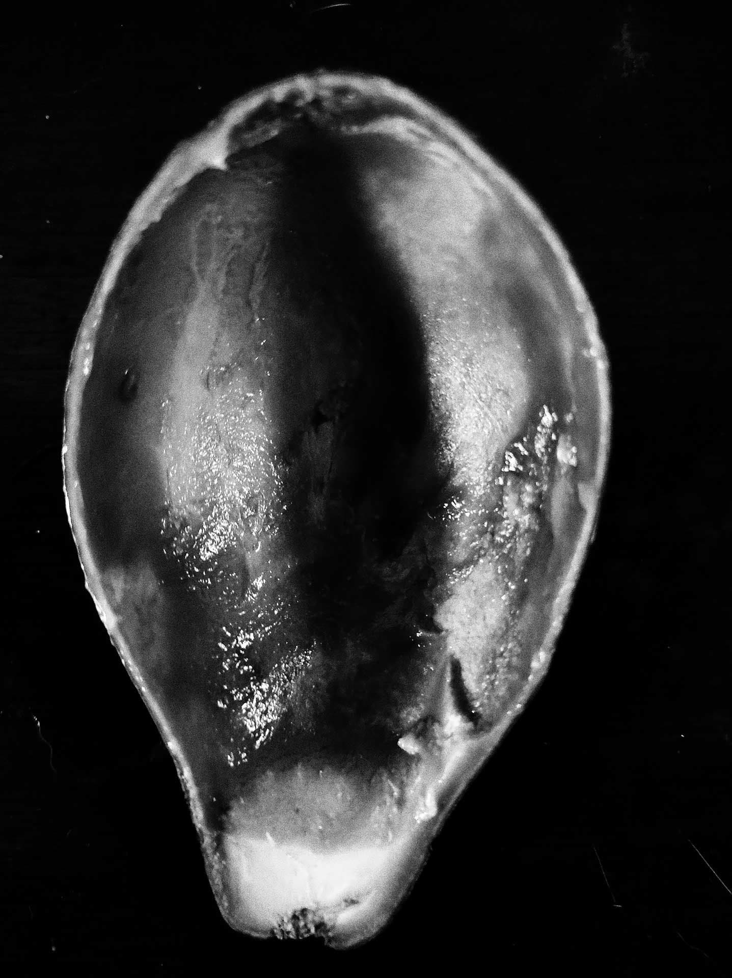 Mien, 2021 ©️Utami Dewi Godjali