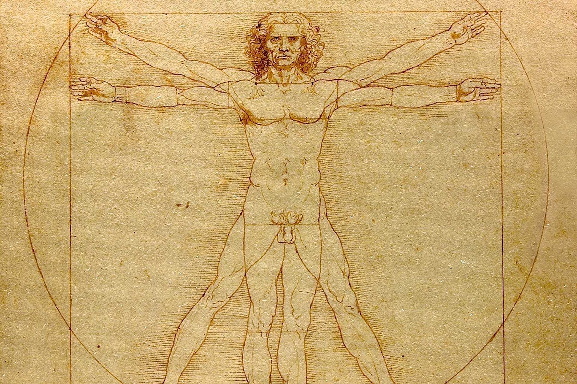 Phi and the Pursuit of Perfection in Visual Arts