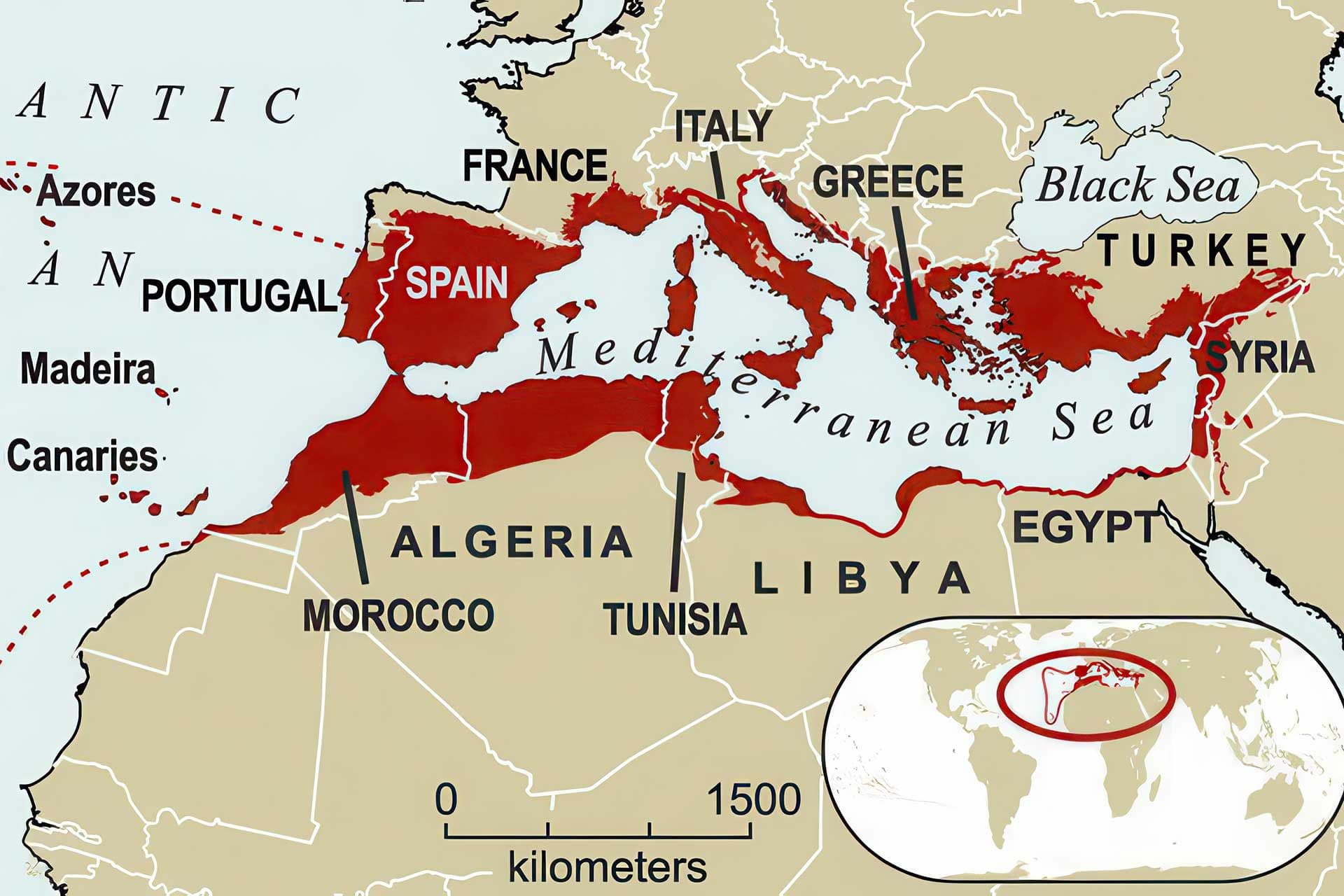 Map View of the Mediterranean Basin