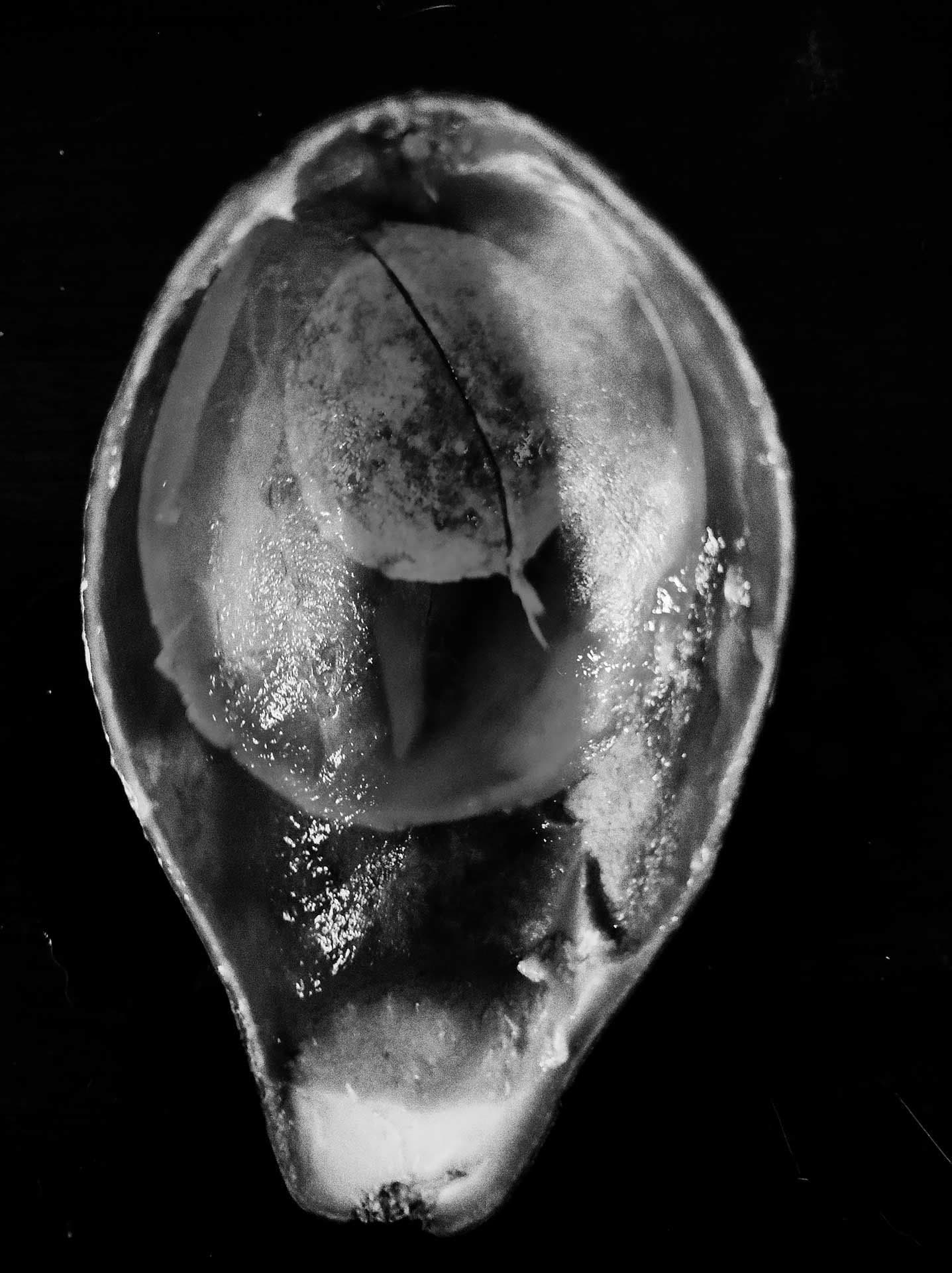 Mien, 2021 ©️Utami Dewi Godjali