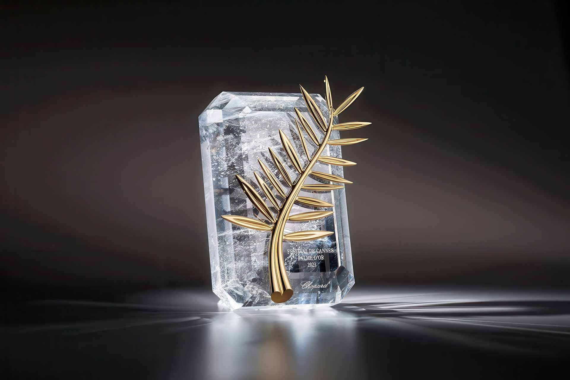 On the Red Carpet of Cannes Where Cinema Dares to Break Free